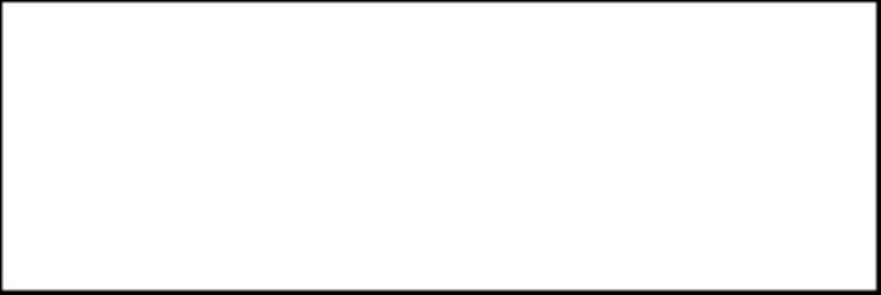 - Blanc white  100X300 gloss  -