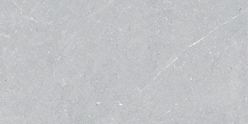 - Pietra X wind silver  300X600 grip  -