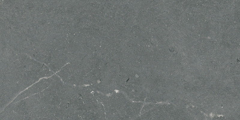 - Pietra X shell charcoal  450X900 matte  -