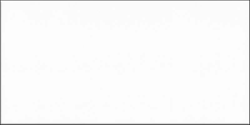 - Blanc white  100X200 Gloss -