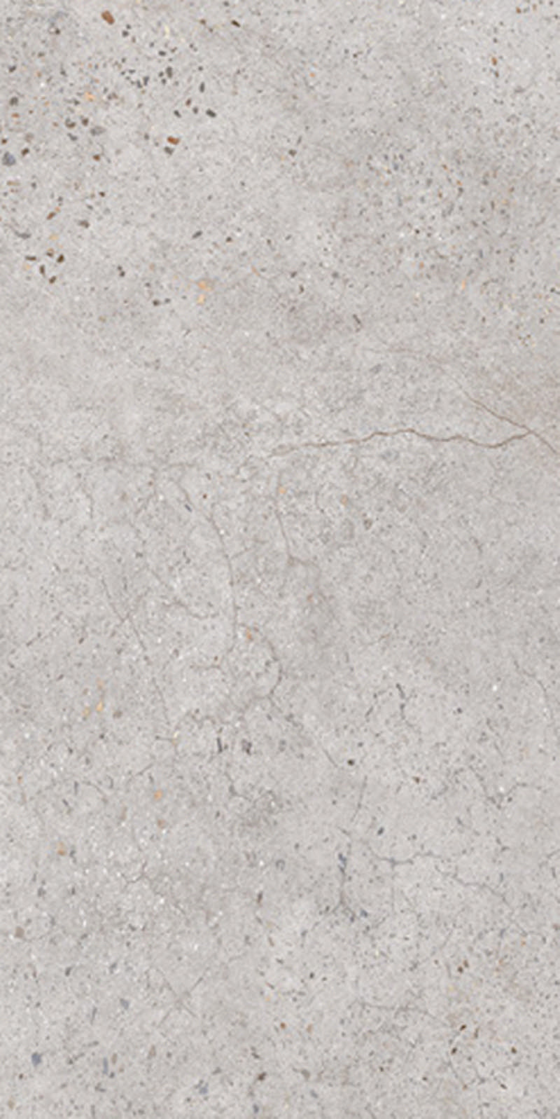 - Maysa grey 300X600 wet look (shine) -