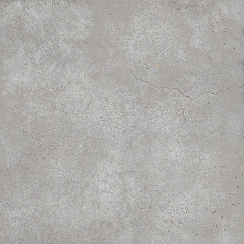 - Maysa ash 600X600 wet look (shine) -
