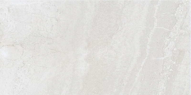 - Silver zeus dust 30 X 60  polished  -