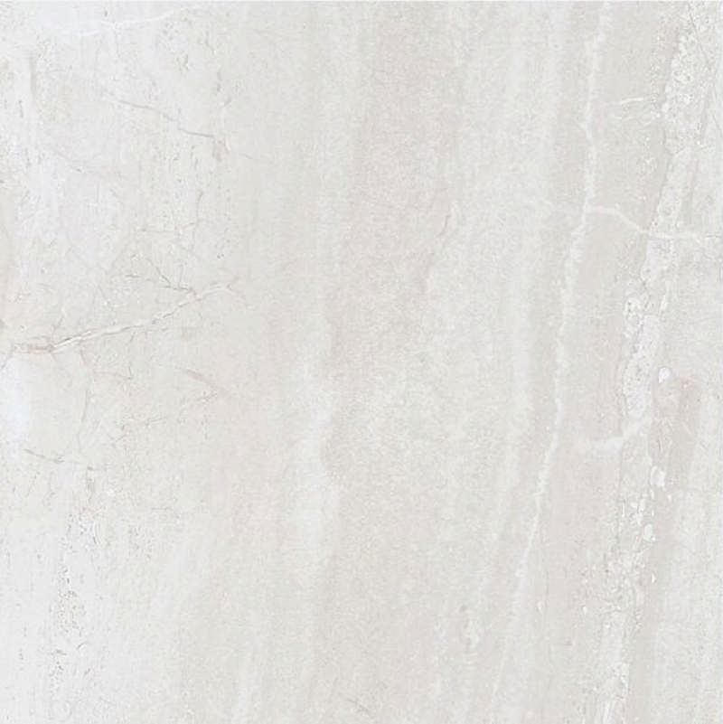 - Silver zeus dust 60 X 60  polished  -