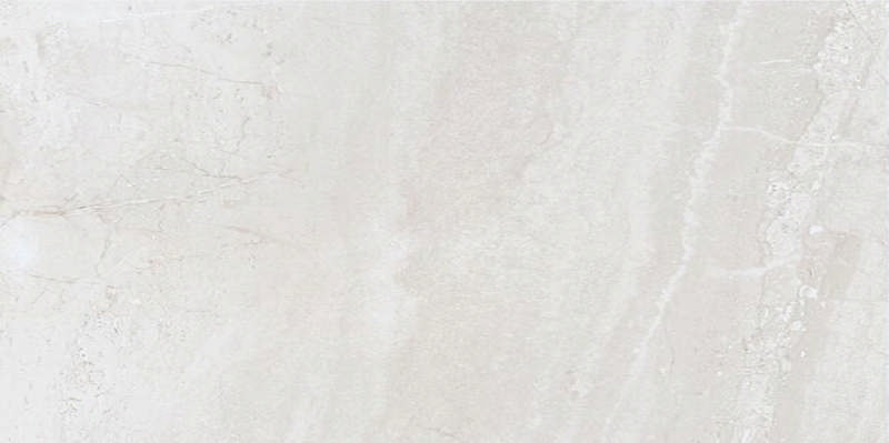 - Silver zeus dust 60 X 120  polished  -
