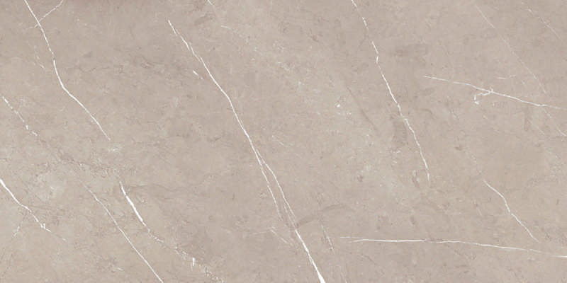- Silver platinum 60 X 120  polished  -