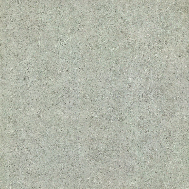 - Evolve light grey  60 X 60  matt  -