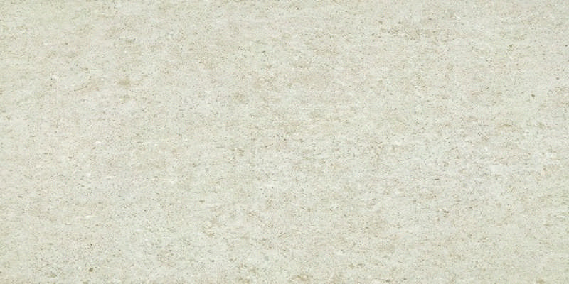 - Evolve white  30 X 60  matt  -