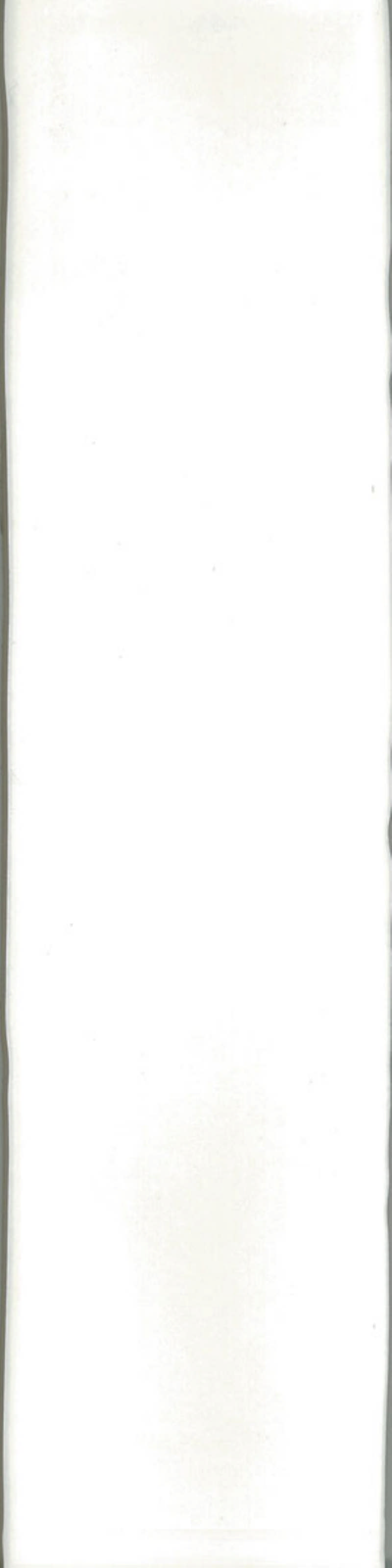 - Manual cream 75X300 gloss -