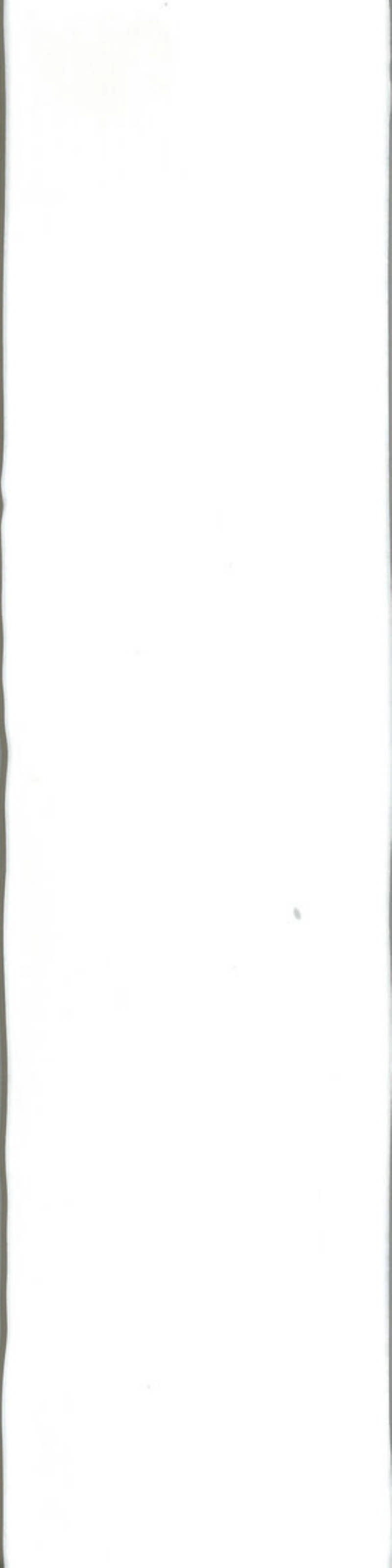- Manual white 75X300 gloss -